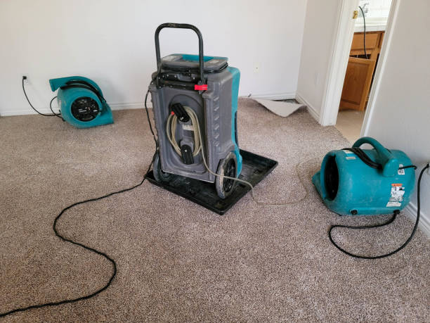 Best Carpet water damage restoration  in Springdale, MD