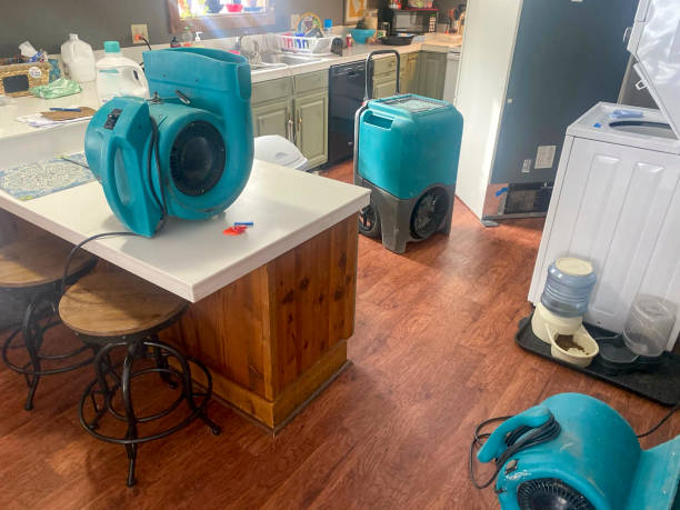 Best Basement water damage restoration  in Springdale, MD