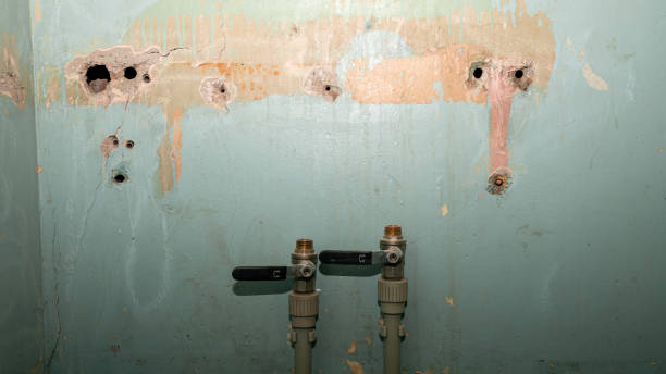 Best Professional water damage repair  in Springdale, MD