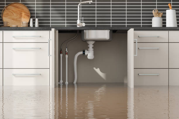Best Basement water damage restoration  in Springdale, MD